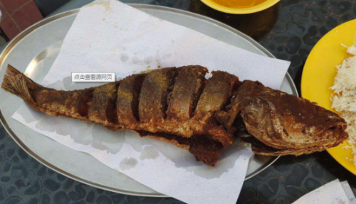 迪拜高端饭局排名前十(去迪拜10大禁忌)插图7