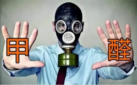 环境研究公司排名前十(环境科学研究模板)