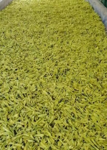 南昌高档茶庄排名前十(南昌餐饮排名前十)插图11