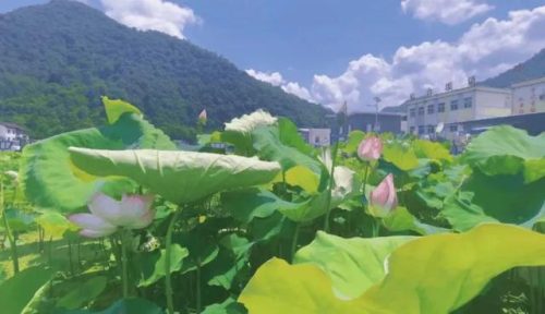 汉中旅游最值得去的地方(汉中旅游景点大全)插图12
