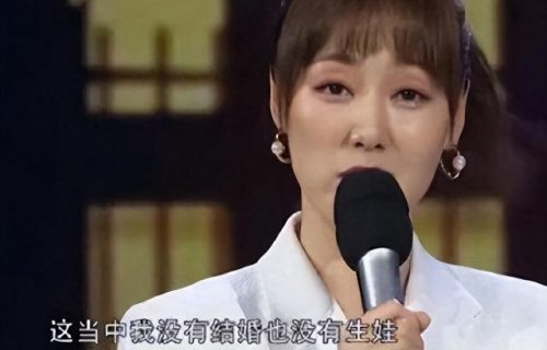 王冠主持人(中央台 王冠)插图17