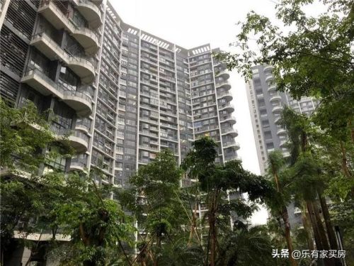 深圳真实豪宅排名前十(深圳豪宅线标准)插图3