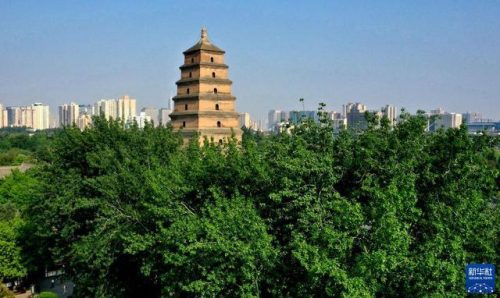 大雁塔简介(大雁塔喷泉开放时间)插图9