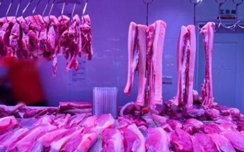 肉类价格(全国冷冻肉价格)