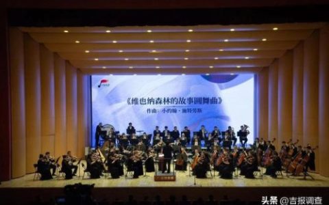 浪漫华尔兹(华尔兹舞曲最好听的歌曲)