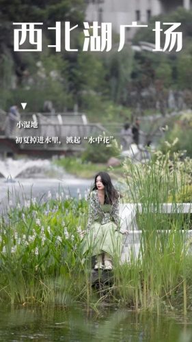 长江最美公园排名前十(长江湿地公园)插图13