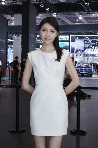 现代车型车模排名前十(上海现代汽车车模)插图37