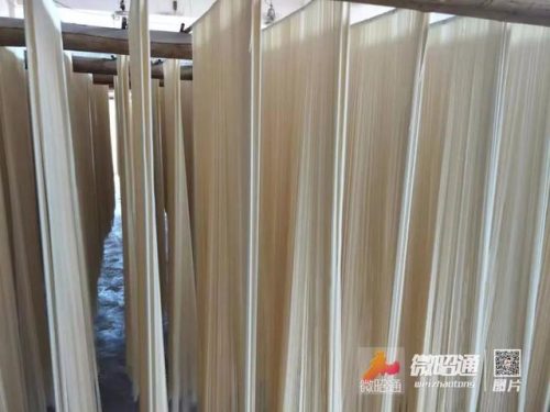 天麻面条厂家排名前十(中国面条品牌排行榜前十名)插图5