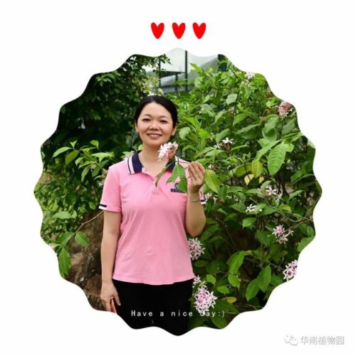 广州华南植物园好玩吗(去华南植物园要预约吗)插图7