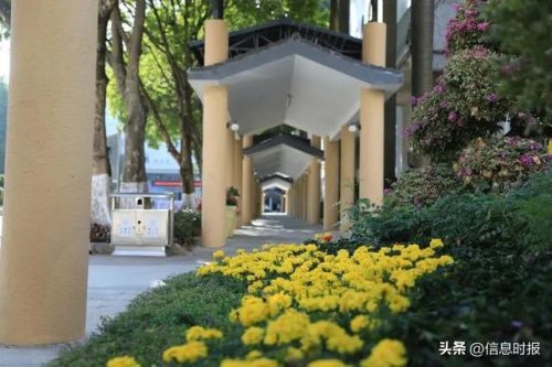 广州城市职业学院(广东工程职业技术学院)插图4