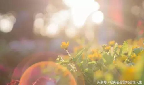 活着就是折腾(人这辈子就需要折腾,折腾对了)插图