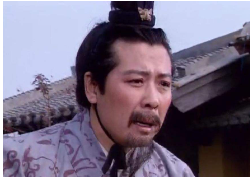 刘备摔阿斗(新三国刘备扔阿斗)插图26
