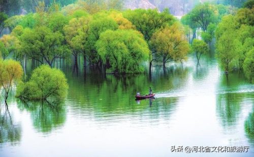 山西溶洞景观排名前十(山西溶洞排名一览表)插图19