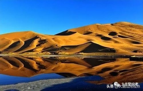 国内沙漠植物排名前十(沙漠植物纪录片)插图5