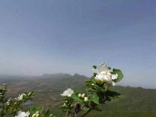 嵩山攀岩大神排名前十(登封嵩山玉皇顶攀岩事故)插图4