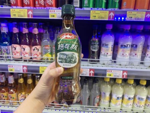 格瓦斯饮料(格瓦斯多少钱一瓶)插图3