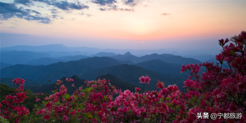 兴国最美山峰排名前十(龙岩最高山峰排名)插图7