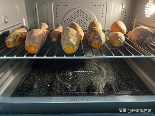排名前十的红薯品种(不同品种红薯的特点)插图3