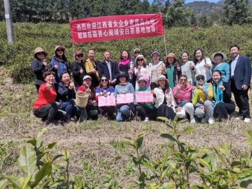 南昌高档茶庄排名前十(南昌餐饮排名前十)插图14