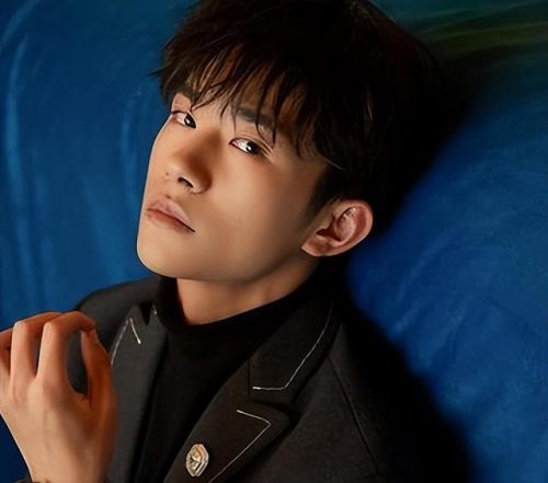 明星帅哥男团排名前十(中国最帅的男明星排名)插图9