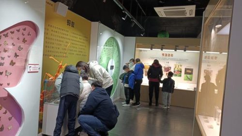 郑州东北景点排名前十(郑州适合老年人的景点)插图8