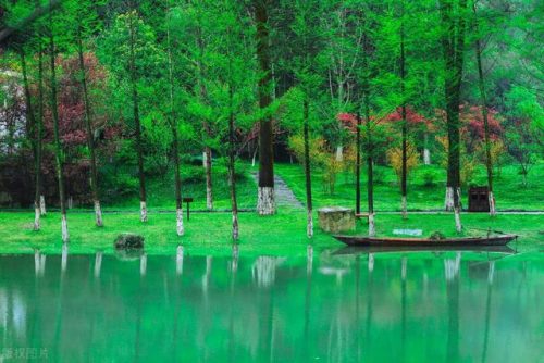 常德所有景区排名前十(中国5a景区排名100强表)插图