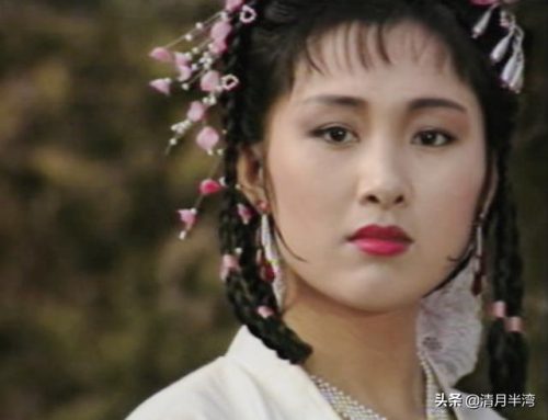 芙蓉如面柳如眉(芙蓉不及美人妆,水殿风来珠翠香)插图24
