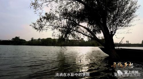 平阴高考画室排名前十(日照画室排名榜)插图10
