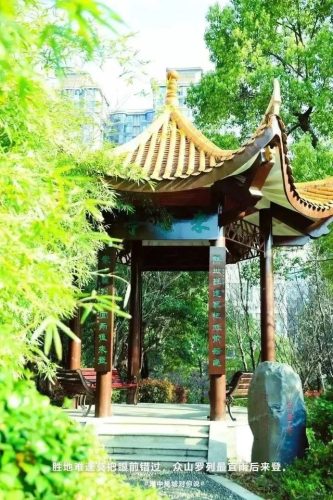 望城区中学排名前十(南康中学全国排名)插图17