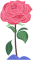 情人节买什么礼物(送情人最好的礼物排名)插图10