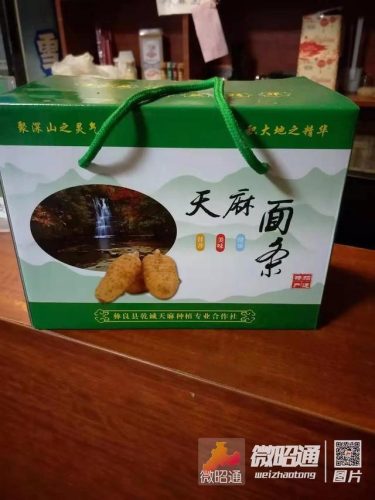 天麻面条厂家排名前十(中国面条品牌排行榜前十名)插图3
