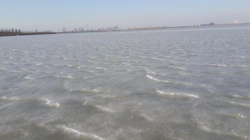 东丽湖度假村(东丽湖度假村值得买吗)插图18