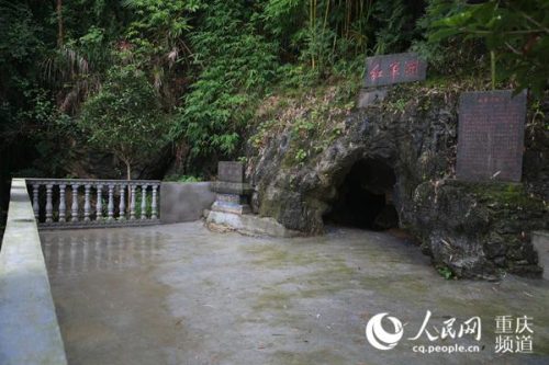 江西裁缝公司排名前十(江西十大服装厂排名)插图