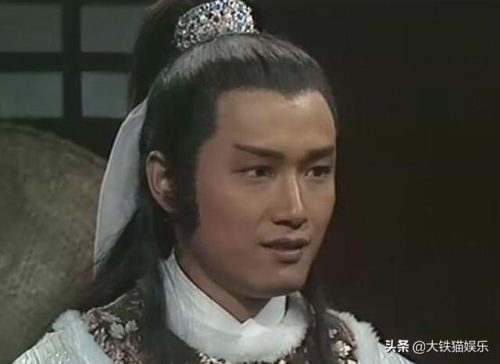 武侠明星(中国50位武打明星)插图13