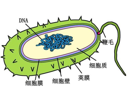 尸体工厂(干尸医院)插图9