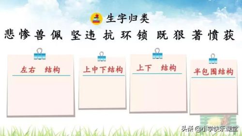 坚决的反义词是什么(坚决对什么)插图9