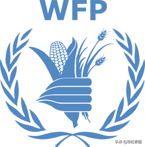 联合国会徽(联合国会标的含义)插图15