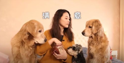 芳心不在家(电影芳心别乡故事梗概)插图42