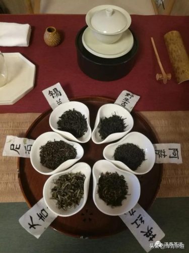 常用茶道排名前十(十大茶叶)插图15