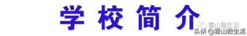 合肥韩语中学排名前十(合肥双语国际学校)插图