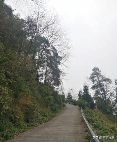 夤夜苞苴是什么意思(成语苞苴什么什么)插图