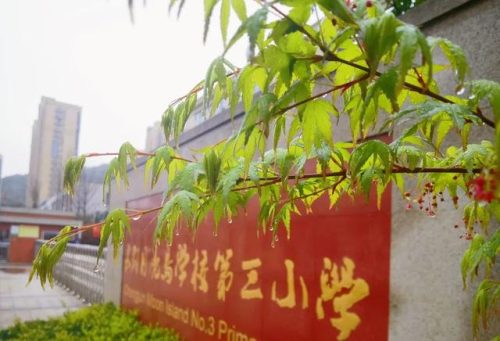 望城区中学排名前十(南康中学全国排名)插图13