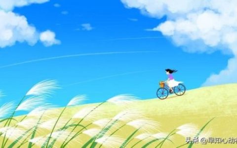 排名前十的男士香水(十大公认最好闻的男香)