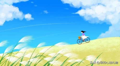 排名前十的男士香水(十大公认最好闻的男香)插图