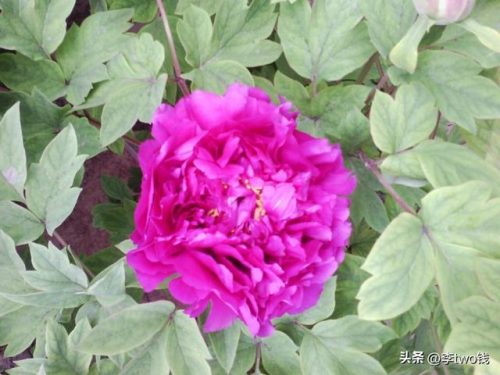 最新歌曲2013流行(90后歌曲大全流行歌曲)插图