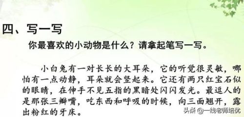 铃组词拼音(铃的多音字有哪些)插图16