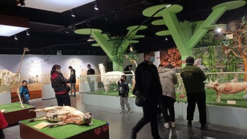郑州东北景点排名前十(郑州适合老年人的景点)插图10