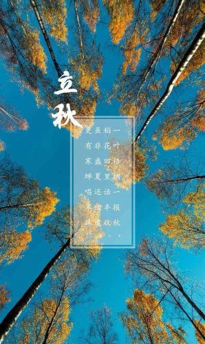立秋图片大全高清(一叶知秋图片)插图43