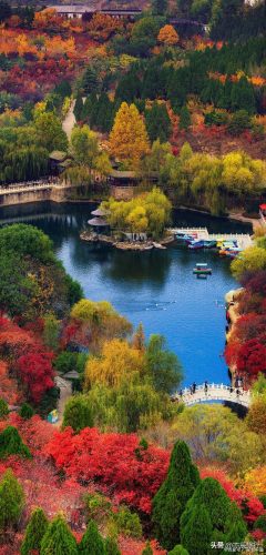 山东户外旅游排名前十(山东夕阳红旅游专列)插图11