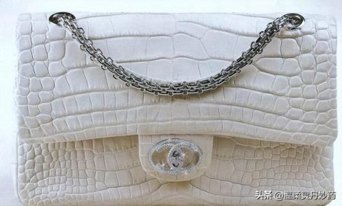 超大品牌手袋排名前十(名牌包包品牌大全)插图5